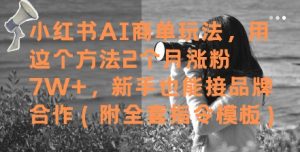 小红书AI商单玩法，用这个方法2个月涨粉7W+，新手也能接品牌合作(附全套指令模板)|淘骐网赚资源库