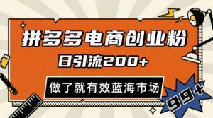 拼多多引流电商创业粉,日引200+,可矩阵放大,做了就有效【揭秘】|淘骐网赚资源库