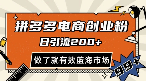 拼多多引流电商创业粉,日引200+,可矩阵放大,做了就有效【揭秘】|淘骐网赚资源库