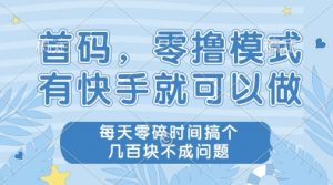 首码，零撸模式，有快手就可以做，每天零碎时间搞个几张不成问题【揭秘】|淘骐网赚资源库