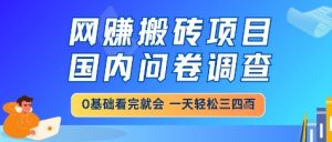 网创搬砖项目,国内问卷调查,小白轻松上手,一天三四张的也不难,干就完了【揭秘】|淘骐网赚资源库