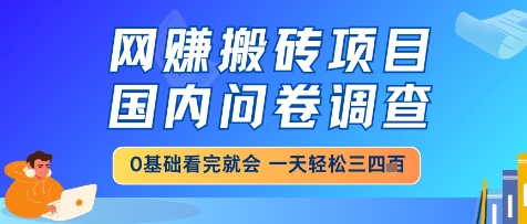 网创搬砖项目,国内问卷调查,小白轻松上手,一天三四张的也不难,干就完了【揭秘】|淘骐网赚资源库