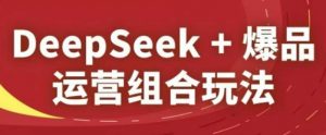DeepSeek+爆品运营组合玩法，2025淘系精品课|淘骐网赚资源库