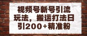 视频号新号引流玩法，搬运打法日引200+精准粉，可矩阵放大【揭秘】|淘骐网赚资源库