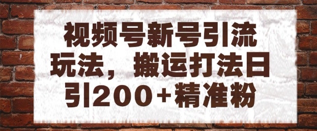 视频号新号引流玩法,搬运打法日引200+精准粉,可矩阵放大【揭秘】|淘骐网赚资源库