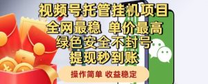 视频号托管挂G项目全网最稳，单价最高，绿色安全不封号提现秒到账，操作简单，收益稳定【揭秘】|淘骐网赚资源库