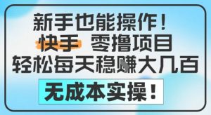 新手也能操作,快手零撸挣米,轻松每天挣2-5张,完全无成本|淘骐网赚资源库
