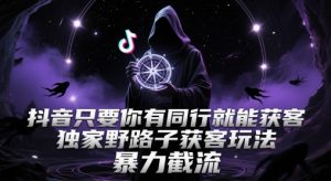 抖音只要你有同行就能获客，独家野路子获客玩法，暴力截流【揭秘】|淘骐网赚资源库