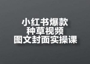 小红书爆款种草视频图文封面实操课,开店、选品、引流、变现全流程|淘骐网赚资源库