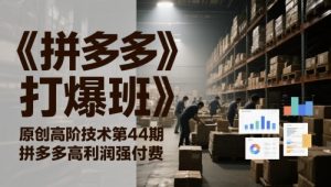 《拼多多打爆班》原创高阶技术第44期，拼多多高利润强付费|淘骐网赚资源库