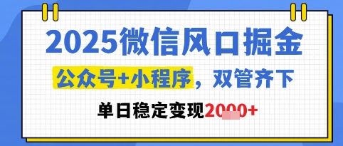 2025微信风口掘金,公众号+小程序双管齐下,单日稳定变现1k+【揭秘】|第一资源库
