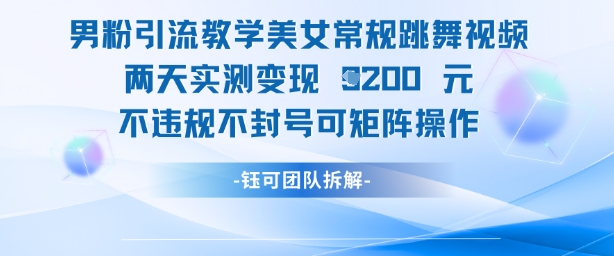 男粉引流教学美女常规跳舞视频两天实测变现1k+,不违规不封号可矩阵操作|淘骐网赚资源库