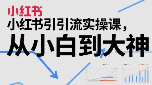 小红书引流实操课,从小白到大神|淘骐网赚资源库