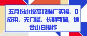 五月份小说高效推广实操，0成本，无门槛，长期可做，适合小白操作|淘骐网赚资源库