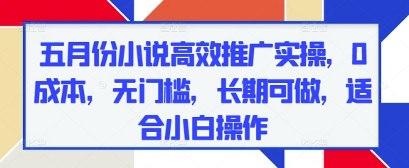五月份小说高效推广实操,0成本,无门槛,长期可做,适合小白操作|淘骐网赚资源库