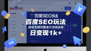 百度SEO玩法，搜狐关键词覆盖引流精准粉，日变现1k+【揭秘】|淘骐网赚资源库