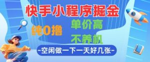 快手小程序掘金,纯0撸,单价高不养机 利用空闲时间做一做,一天好几张【揭秘】|淘骐网赚资源库