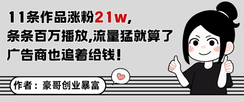11条作品涨粉21W，条条百W播放，流量猛就算了，广告商也追着给钱|淘骐网赚资源库