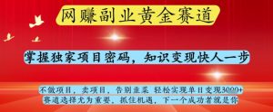 网创副业黄全赛道,掌握独家项目密码,知识变现快人一步,告别韭菜轻松实现单日变现1k+【揭秘】|淘骐网赚资源库