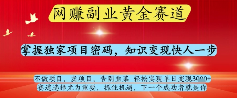 网创副业黄全赛道,掌握独家项目密码,知识变现快人一步,告别韭菜轻松实现单日变现1k+【揭秘】|淘骐网赚资源库