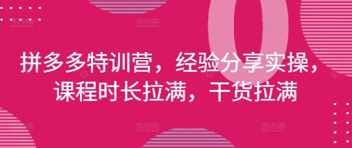 拼多多特训营,经验分享实操,课程时长拉满,干货拉满(更新25年4月)|淘骐网赚资源库