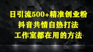 日引流500+精准创业粉,抖音共情自热打法,工作室都在用的方法|淘骐网赚资源库