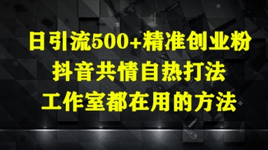 日引流500+精准创业粉,抖音共情自热打法,工作室都在用的方法|淘骐网赚资源库