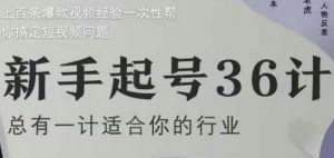 新手起号36计2.0,四年行业沉淀,上百条爆款视频经验一次性帮你搞定短视频问题|淘骐网赚资源库
