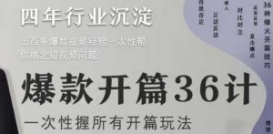 爆款开篇36计2.0,爆款短视频,一次性掌握所有开篇玩法|淘骐网赚资源库