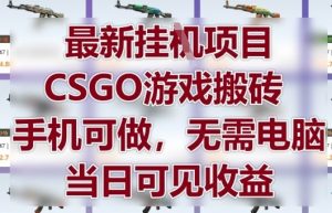 最新挂G项目,CSGO游戏搬砖,手机可做,无需电脑,当日见收益【揭秘】|淘骐网赚资源库