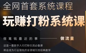 2025行业首套全网全域打粉系统神课,做流量做离钱最近的事,一套新手入行打粉引流必备课|淘骐网赚资源库