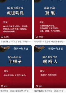 抖音最新涨粉玩法，图文方言暴力涨粉实操，126作品涨粉11W|淘骐网赚资源库