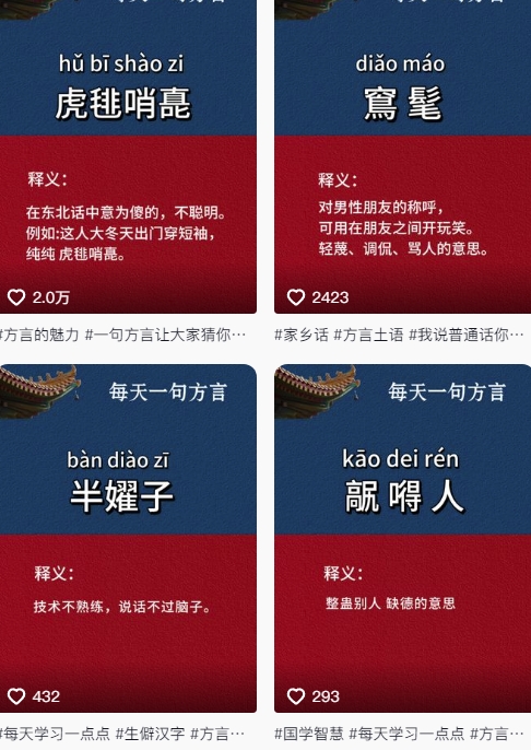 抖音最新涨粉玩法,图文方言暴力涨粉实操,126作品涨粉11W|淘骐网赚资源库