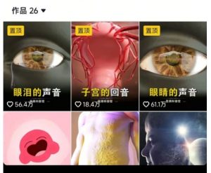 抖音坚果3D动画科普项目,撸视频号分成和抖音伙伴计划,适合零基础小白|淘骐网赚资源库