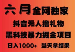 25年6月抖音无人直播最新暴力撸音浪掘金，小白可做，可批量矩阵放大，长期稳定日入1k+【揭秘】|淘骐网赚资源库