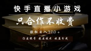 快手直播小游戏，只合作不收费，你出账号我出技术， 分润模式【揭秘】|淘骐网赚资源库