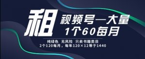 租视频号，一个60每月，2个120.纯绿色、无风险，常年租【揭秘】|淘骐网赚资源库