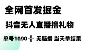 全网首发掘金抖音无人直播撸礼物，单号1k +无脑撸，当天拿结果【揭秘】|淘骐网赚资源库