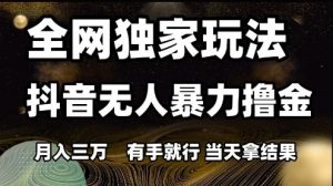 全网独家玩法抖音无人暴力撸金,月入3W,有手就行,当天拿结果【揭秘】|淘骐网赚资源库