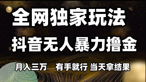 全网独家玩法抖音无人暴力撸金,月入3W,有手就行,当天拿结果【揭秘】|淘骐网赚资源库