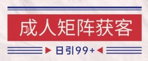 小红书某音橙人赛道引流获客，自热矩阵日引200+【揭秘】|淘骐网赚资源库