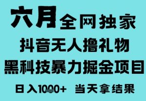 25年6月高爆抖音无人直播最新撸音浪掘金项目，门槛低小白可做，无脑日入1k，可矩阵放大【揭秘】|淘骐网赚资源库