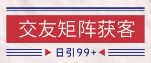 小红书某音交友赛道引流获客 自热矩阵日引200+【揭秘】|淘骐网赚资源库