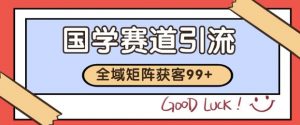 小红书某音国学赛道引流获客 自热矩阵日引200+【揭秘】|淘骐网赚资源库