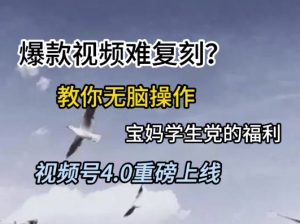 视频号4.0重磅上线，爆款视频难复刻？教你无脑操作宝妈学生党的福利【揭秘】|淘骐网赚资源库
