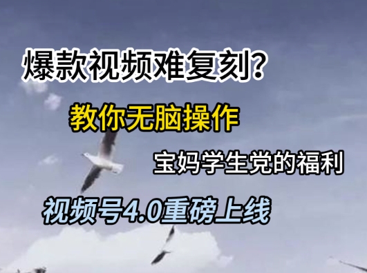 视频号4.0重磅上线，爆款视频难复刻？教你无脑操作宝妈学生党的福利【揭秘】|淘骐网赚资源库