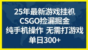 25年CSGO游戏搬砖，全自动挂G，不需要玩游戏，手机操作日入3张+【揭秘】|淘骐网赚资源库