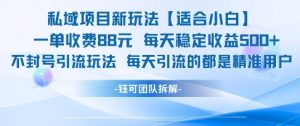 私域项目新玩法【适合小白】 一单收费88.每天稳定收益几张|淘骐网赚资源库