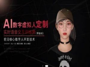 AI数字虚拟人定制,实时语音交互训练营(零基础),前沿核心数字人开发技术|淘骐网赚资源库