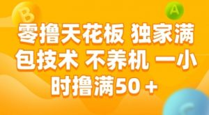 零撸天花板,独家满包技术 不养机 一小时撸满50+【揭秘】|淘骐网赚资源库